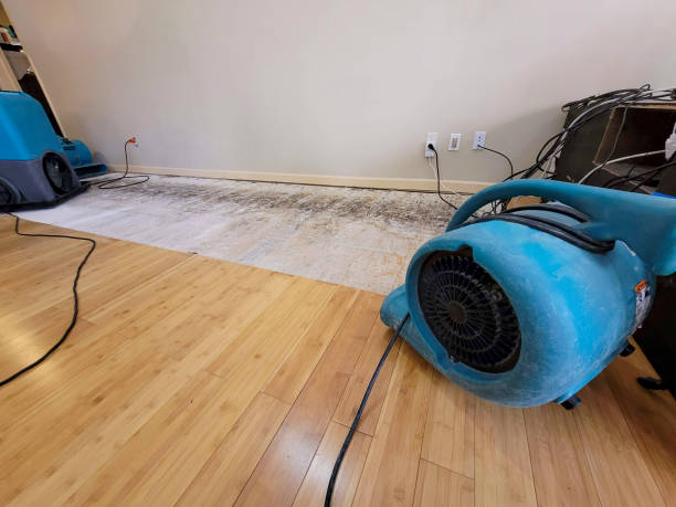 Professional Water Damage Repair technician working in Odd, WV